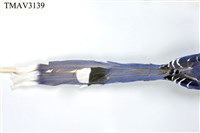 臺灣藍鵲藏品圖，第10張